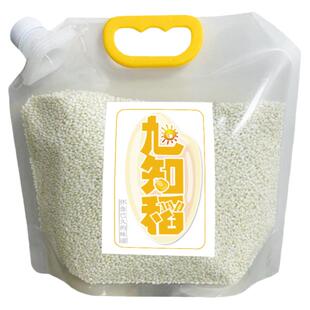 离乡农家圆粒糯米江米包粽子白糯米2024年新米煮粥酿酒 粘糯米3斤