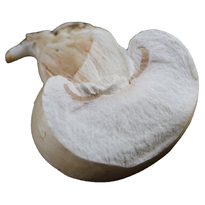 密农人家新鲜口蘑白蘑菇225g