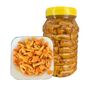 5斤含水滑子菇 滑菇非新鲜滑子蘑 珍珠菇承德特产桶装炒煲汤包邮