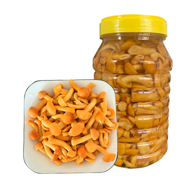 5斤桶装滑子菇涮炒拌煲汤