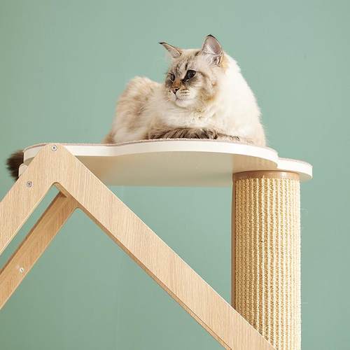 CatS猫爬架绿野仙踪拼色大木屋猫爬架实木猫窝猫架剑麻柱猫抓柱