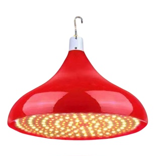 LED充电生鲜灯熟食鲜肉摊水果卤菜店蔬菜市场专用夜市摆摊暖光