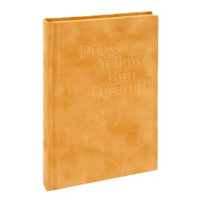 预售 Paul Graham Does Yellow Run Forever? 保罗格雷厄姆 原版摄影集 英文 艺术摄影 摄影画册 华源时空