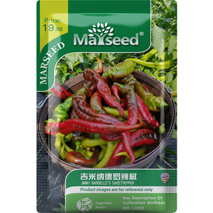 【新品推荐】进口传家宝吉米纳德罗甜椒米椒青椒四季盆栽种子孑籽