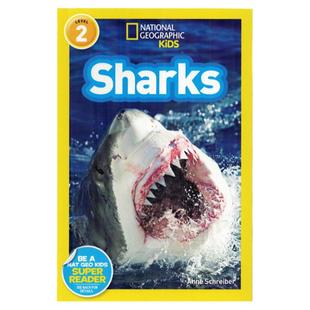 英文原版绘本 National Geographic Kids Level2:Sharks 鲨鱼 美国国家地理分级阅读二阶段 少儿科普百科英语童书