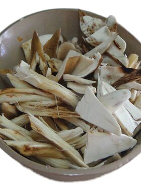 新鲜鸡枞菌云南特产野生火把
