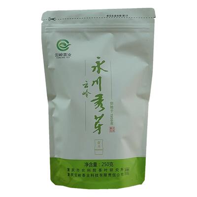 云岭永川秀芽壹川绿茶明前口粮茶