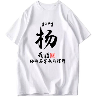 中国风百家姓名字个性创意定制文字汉字姓氏衣服男女情侣短袖T恤