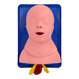 成人电子人体气管插管训练模型带牙齿受压报警口鼻咽气道管理训练