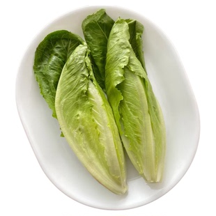 生菜苗罗马意大利奶油生菜苗子大全秧苗四季新鲜当季有机蔬菜秧苗
