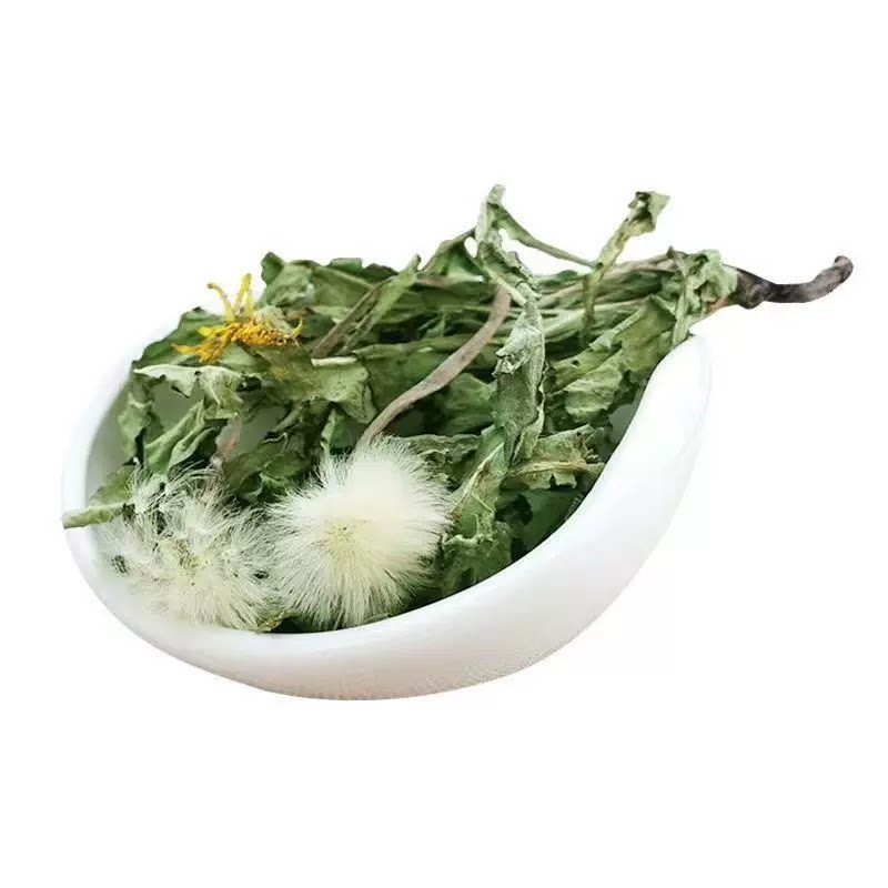 蒲公英正品特级野生中药材整棵
