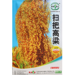 德胜扫把高粱 扫帚红高粱种子 北方甘蔗 酿酒食用牧草 庭院绿化