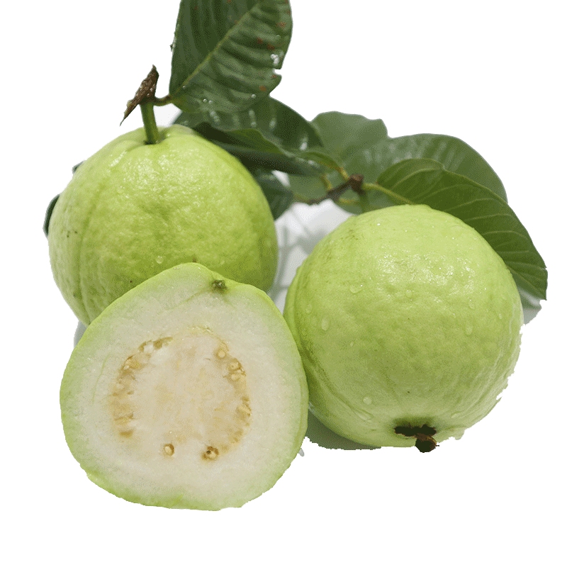 抢！5斤脆口香脆甜！现摘芭乐