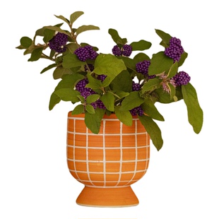 大地植物工作室 紫珠氛围感绿植盆栽样板间餐厅装饰植物小众花卉