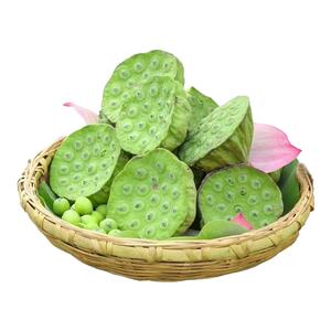 【现货】现摘现发新鲜莲蓬应季水果莲蓬生吃嫩莲子新鲜莲子整箱