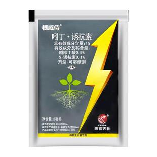 曹达根威侍1%吲哚丁酸s诱抗素水稻秧田促进生根植物生长调节剂