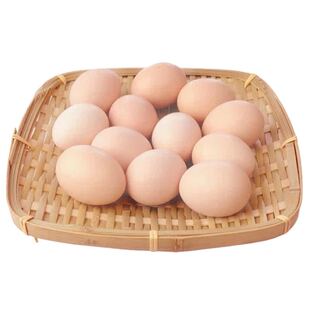 正宗新鲜农家鸡蛋50g柴草鸡蛋谷物蛋20枚农村散养营养美味