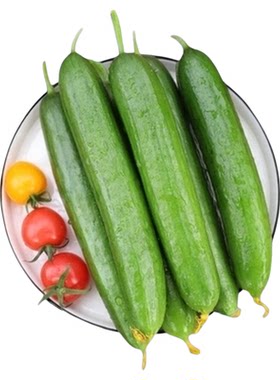其他水果黄瓜生态种植口感甜润