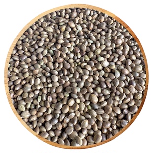 小粒麻籽野生火麻子纸壳麻子鸟食饲料奖励训练食物小型鹦鹉鸟零食