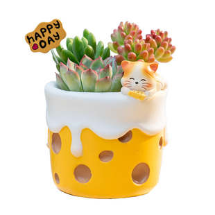 创意多肉盆栽卡通花盆小动物小猫小狗小兔可爱多肉植物办公室阳台