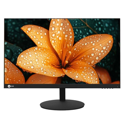 联想来酷Lecoo 23.8英寸100Hz窄边框直面屏电脑显示器B2413E-R