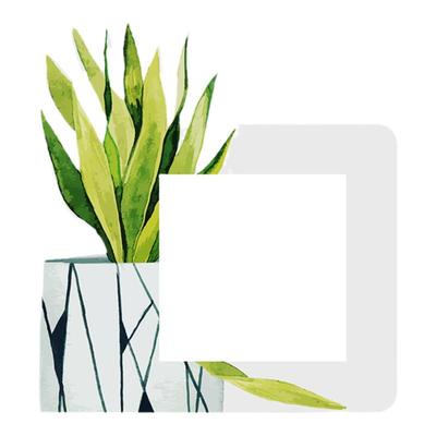 盆景3D画亚克力插座遮挡装饰贴