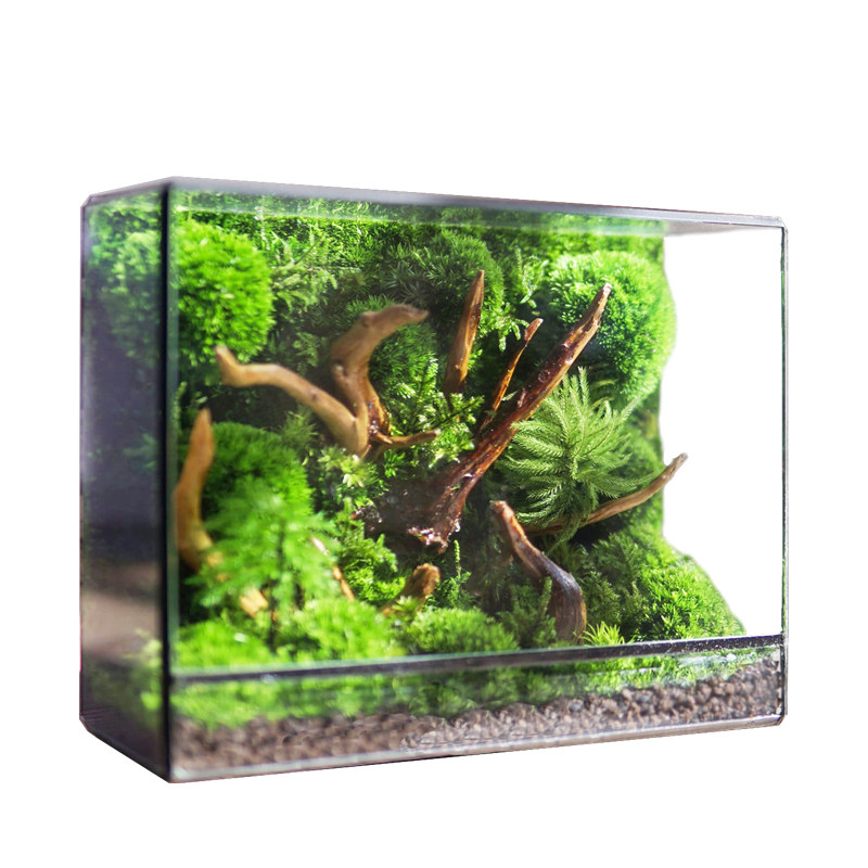 玻璃微景观几何花房苔藓生态缸