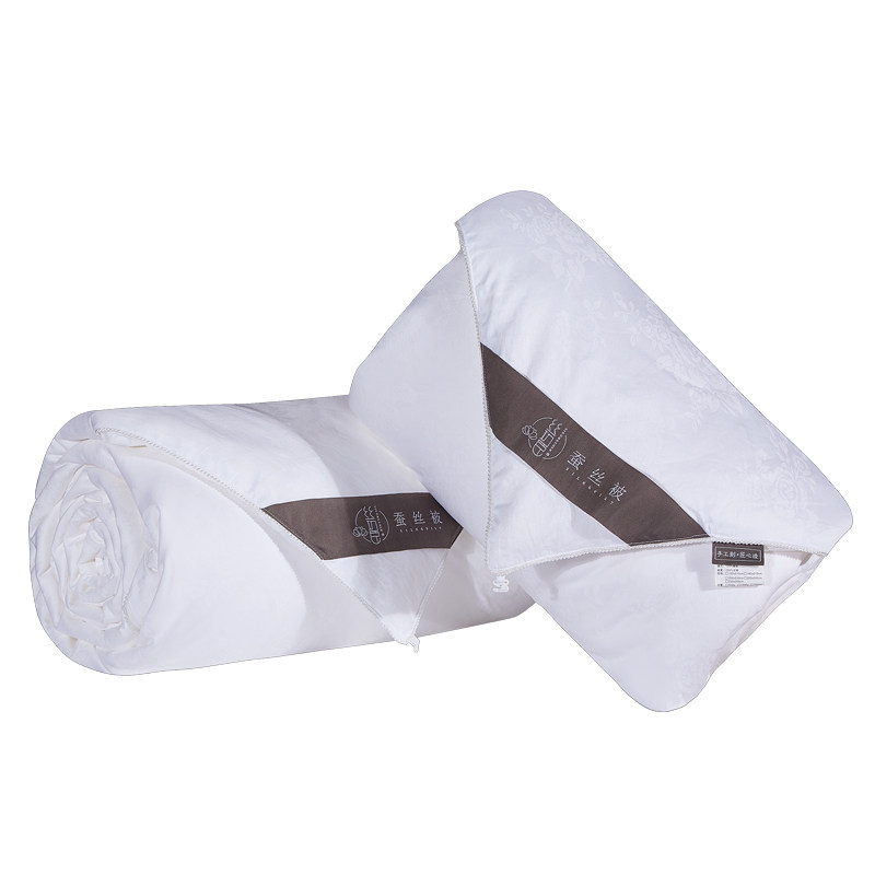 桐乡纯手工蚕丝被100%双宫桑蚕丝被芯单人双人被蝉丝被春秋被冬被