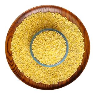东北农家大黄米新货黍米五谷杂粮粮食新糯小米黄米粘米粥粽子