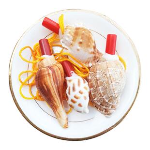 天然海螺号角可吹喇叭口哨超大海螺贝壳哨子儿童玩具哨小螺号吹响