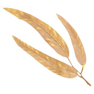 仿真植物蜻蜓叶龟背叶天竺叶 diy手工胸花材料 家居装饰 微观造景