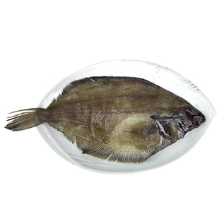 整条大鲽鱼格陵兰比目鱼碟鱼酒店专用鲽鱼规格稳定包邮酒店直供