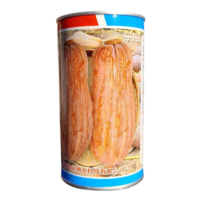 广东金记南瓜种籽孑长牛腿瓜蔬菜
