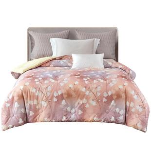 菲罗菈AB面磨毛数码印花羽丝绒春秋被纤维棉春秋被芯