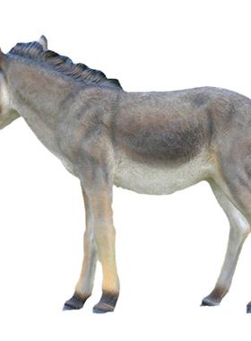 仿真毛驴摆件玻璃钢雕塑