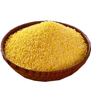 新鲜】好米油多米香山东章丘龙山小米5斤黄小米特新小黄米粥米脂
