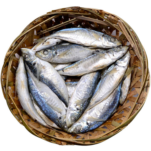 精致潮菜 巴浪鱼饭大条  熟鱼 即食少量做更新鲜 包邮顺丰
