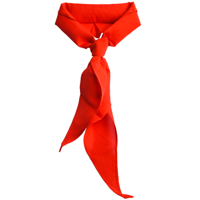 晨光小学生红领巾不起皱不掉色