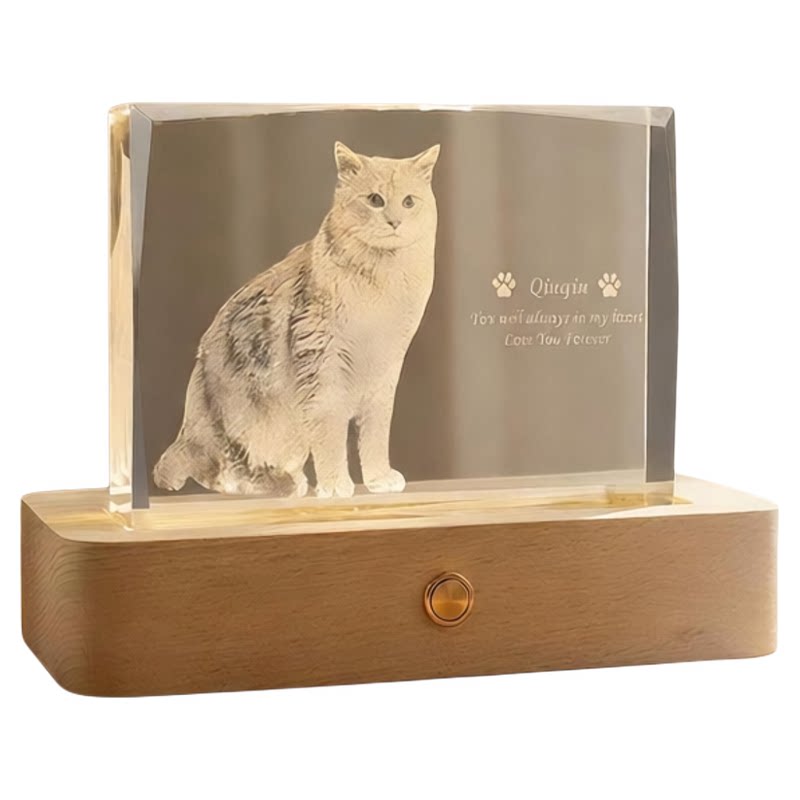 定制宠物爪印文字纪念品创意礼物狗狗猫咪照片3D内雕水晶相框摆台