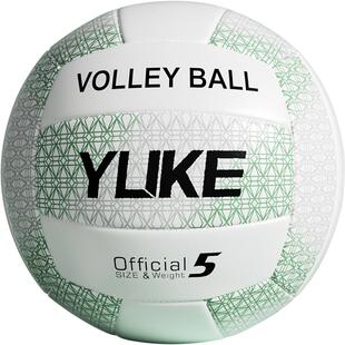 排球中考学生专用5号初中小学生少年男女儿童正品软式气比赛训练