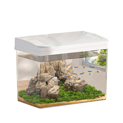 鱼缸懒人自循环免换水超白金鱼缸