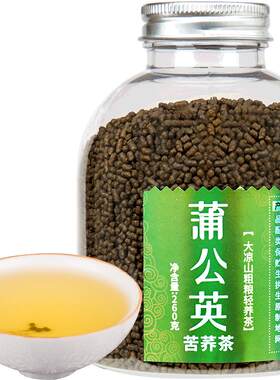 野生大凉山蒲公英花茶