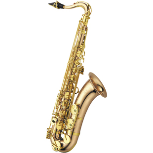 柳泽次中音萨克斯降B调TWO2磷铜管体YANAGISAWA日本原装专业级