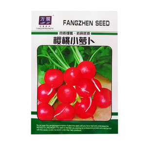 蔬菜种子大全阳台菜籽油麦菜空心菜白菜蔬菜种孑家庭阳台四季适播