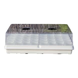 透明矮多肉花盆塑料加厚小口径育苗种植浸水盘整理托架控闷养组合