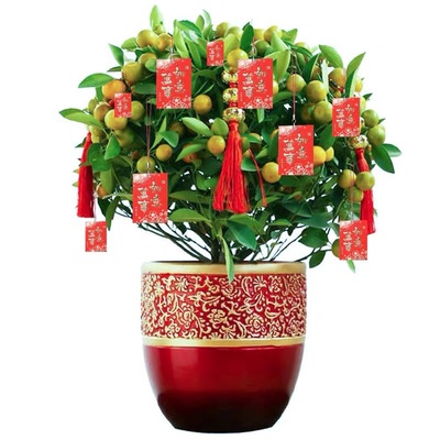 迷你新年装饰带挂绳可装钱小红包