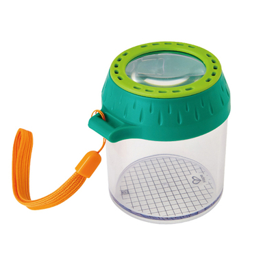 德式工艺环保材质观察昆虫