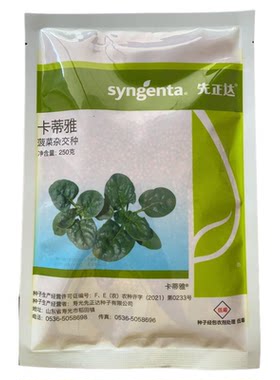 卡蒂雅趴地小菠菜种子产量高抗病耐寒耐热不黄叶厚圆有光泽口感好