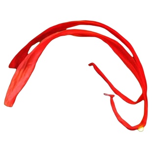 真丝彩绸舞蹈道具盛世鸿姿红绸跳舞专用长绸敦煌舞飞天舞七彩彩绸