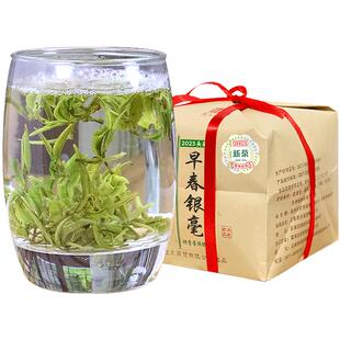 2026年早春绿茶茶叶云南明前春尖银毫毛尖散茶袋装250g云南春尖茶